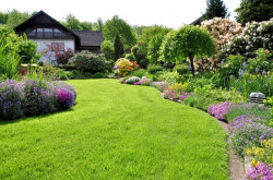 Aménagement jardin à Plouguerneau